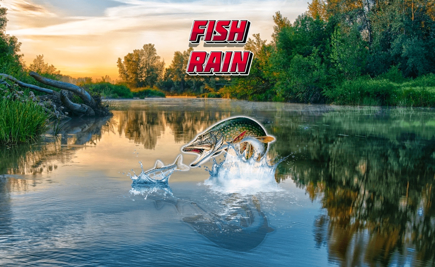 Hooked on Realism: Fish Rain Review