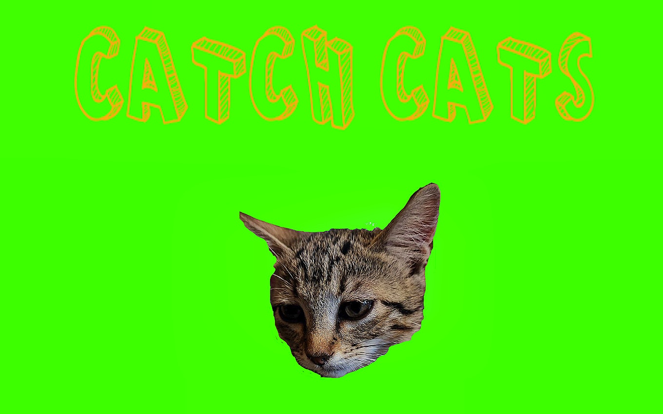 Catch Cats: Quick Reflexes Needed in This Adorable Action Game