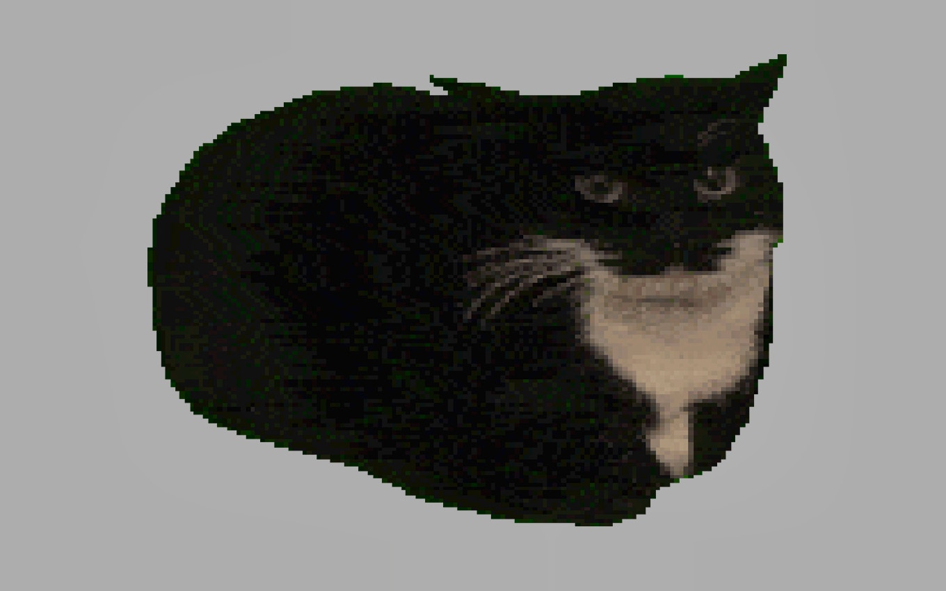 Cat-tastic Clicker Fun: Spinning Cat Review